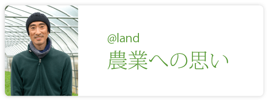 @land（水菜）