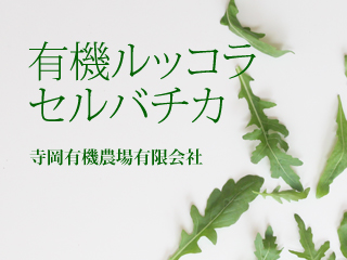 有機ルッコラセルバチカ 広島県産応援登録制度