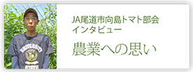 JA尾道市向島トマト部会