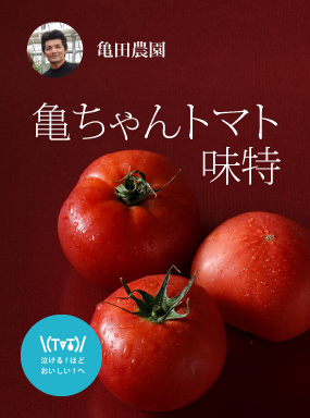 亀ちゃんトマト 味特 広島県産応援登録制度